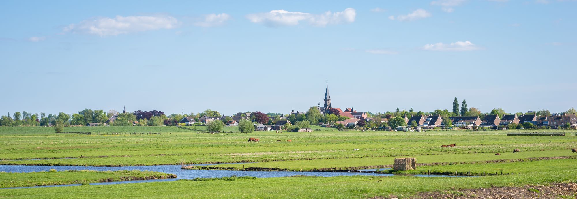 Panoramaview van Nederlandse stad