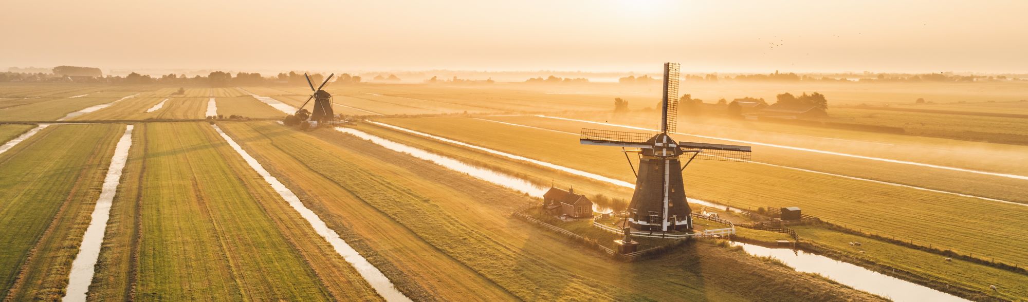 Landschap in Nederland met molens en ochtenddauw